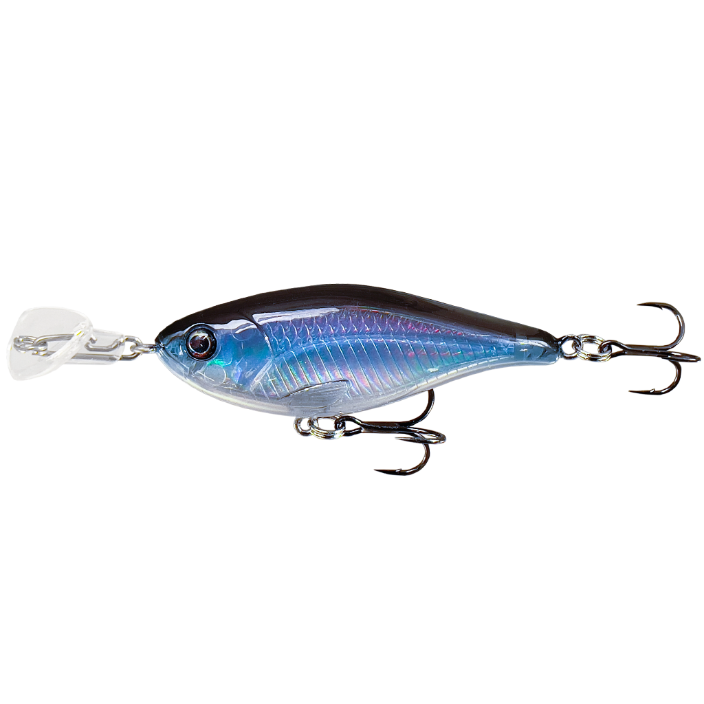 Cranky Shad