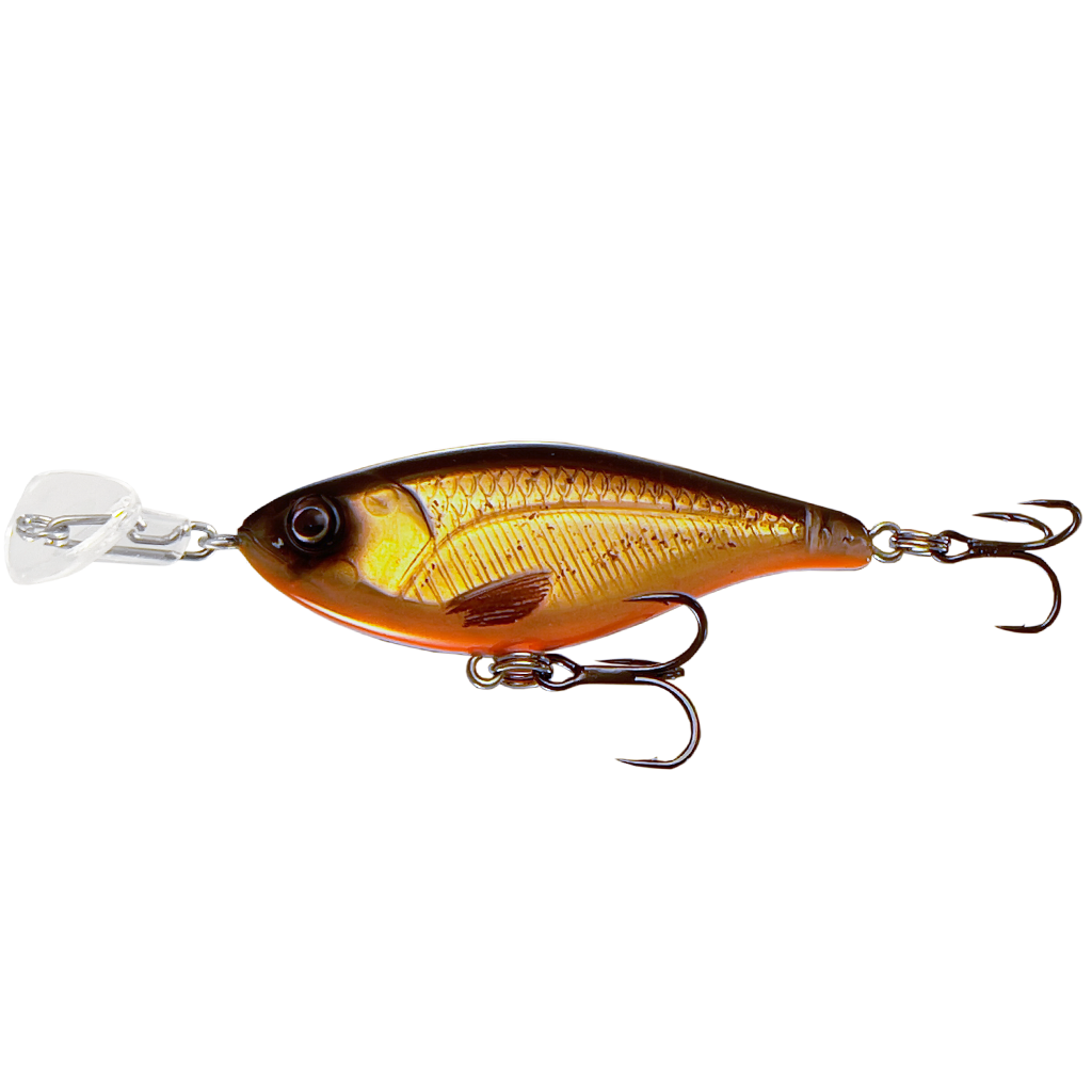 Headbanger Cranky Shad - Slow sink - Dirty Roach